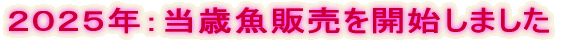 QOQTNF΋uev̔Jn܂