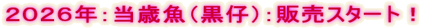 �Q�O�Q�U�N�G���΋����e�̔� �@�@�@�@�@�@�@�@�@�@�i�ߓ��f�ڗ\��j